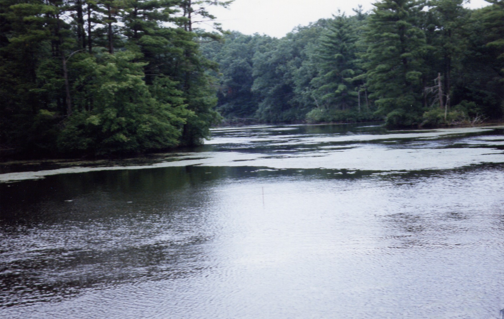 FARMINGTON RIVER